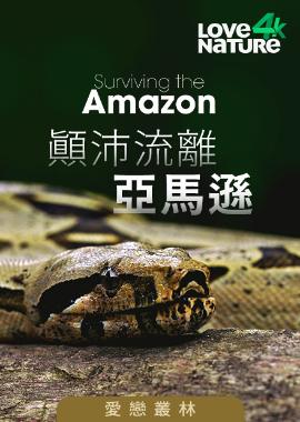 Mod Web 顛沛流離亞馬遜第一季 愛戀叢林